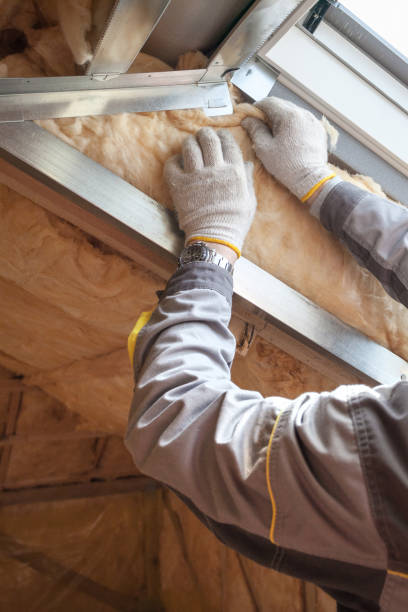 Best Wall Insulation Installation  in Arlington, MN